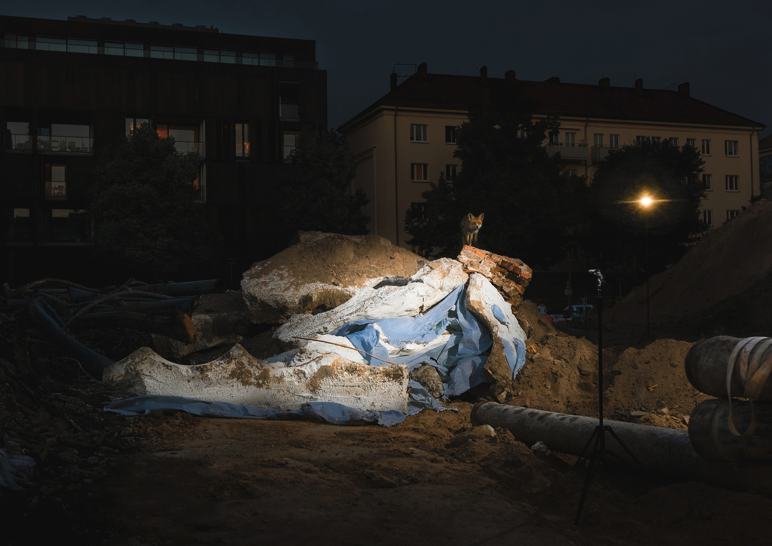 Ein Fuchs steht auf den augeleuchteten Trümmern einer Konsum-/Kaisers-/Edeka-Baustelle. Die Trümmer sind visuell inszeniert, das Erscheinen des Fuchses ist Zufall und Dokumentation in einem.
A fox stands on the illuminated rubble of a Konsum's/Kaiser's/Edeka's construction site.
The rubble is visually staged; the appearance of the fox is a coincidence and documentation in one.